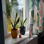 Jelonkowo Duszniki Zdrój