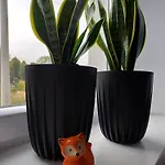 Jelonkowo Apartamento *