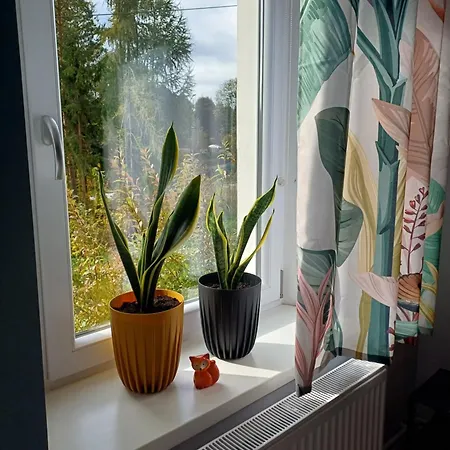 Jelonkowo - Z Bezplatnymi Rowerami, Chlodny Cale Lato! Duszniki Zdrój