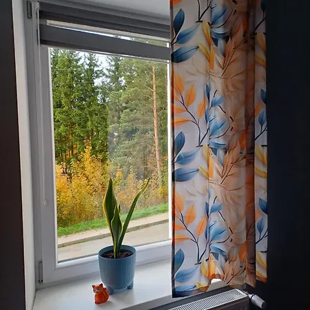Appartement Jelonkowo - Z Bezplatnymi Rowerami, Chlodny Cale Lato! Duszniki Zdrój
