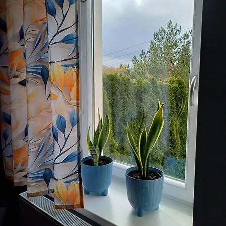 Jelonkowo Duszniki Zdrój