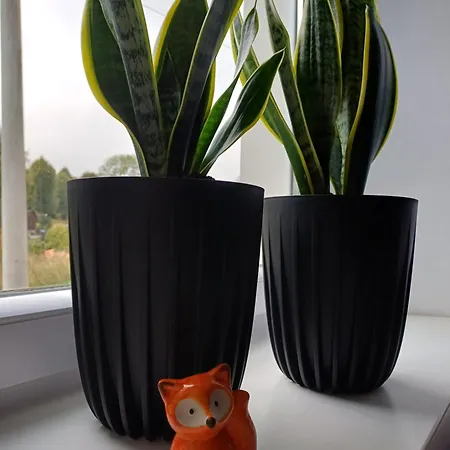 Jelonkowo - Z Bezplatnymi Rowerami, Chlodny Cale Lato! Appartement *