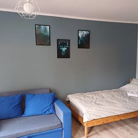 Jelonkowo Duszniki Zdrój