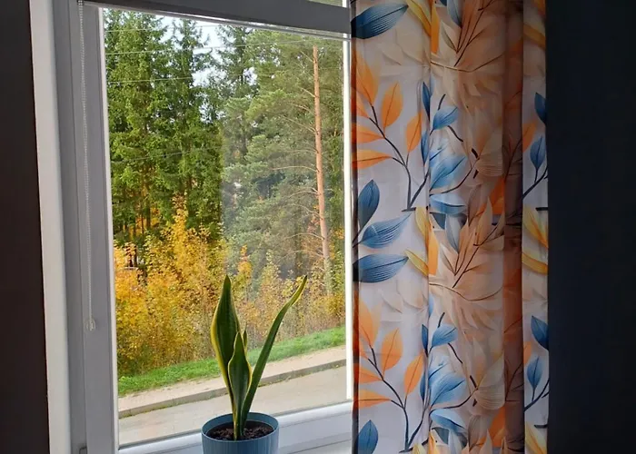 Appartement Jelonkowo Duszniki Zdrój