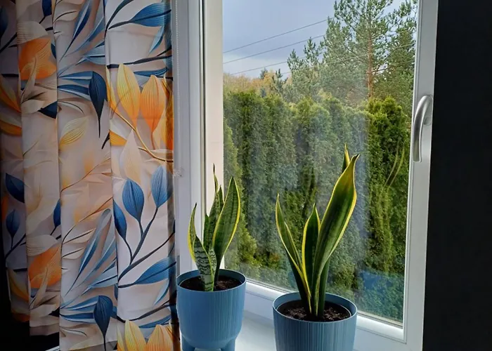 Jelonkowo Duszniki Zdrój