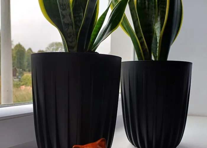 Jelonkowo Appartement *