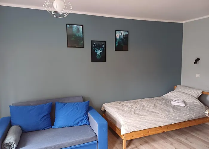 Jelonkowo Duszniki Zdrój